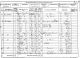 1881 England Census Preshute Wiltshire Folio 87 Page 11