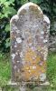 ID 285 Eliza Smith Headstone