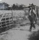 ID 037 James Bennett 1904